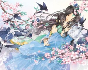 少妇之白洁张敏